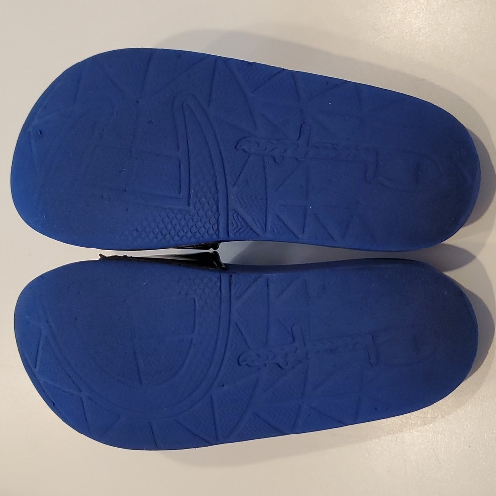 Champion Slides - Picture 4 of 4